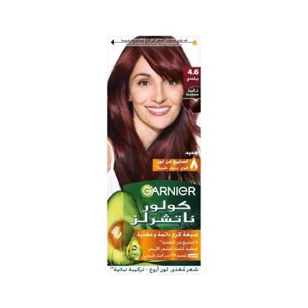 Garnier Color Naturals 4.6 Burgundy Kit
